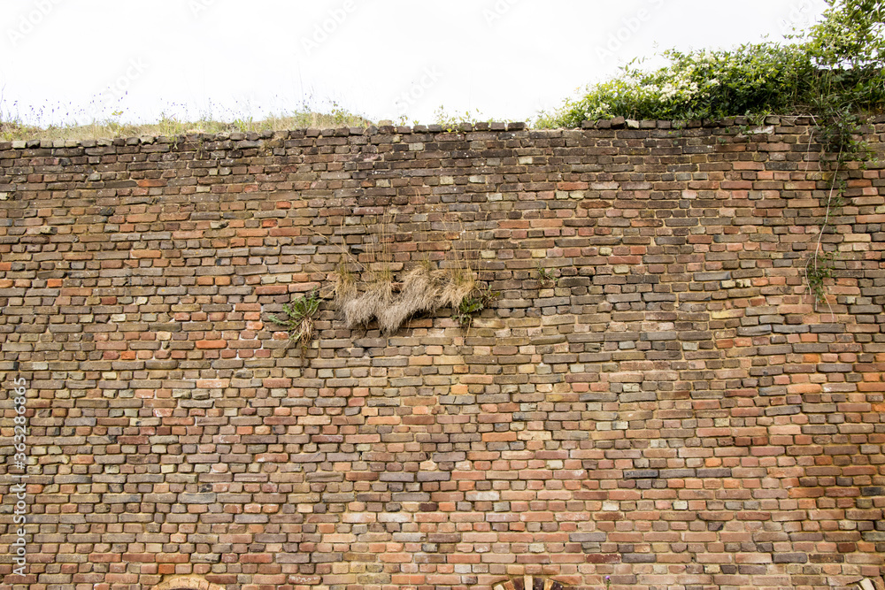 Ruin of an old field stone oven