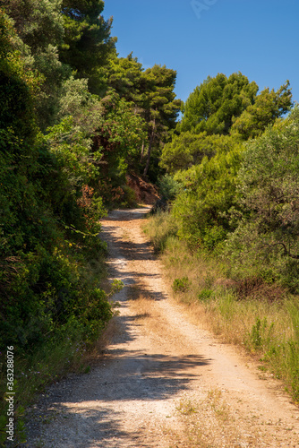 Gravel road through bushes and forest on Zakynthos, Greece