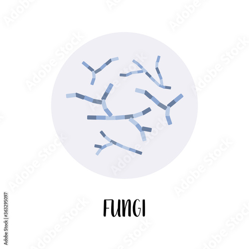 Fungi, fungus. Soil bacteria. Mycology. Morphology. Microbiology. Vector flat illustration