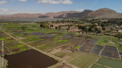 Beautiful valley with green rice paddy fields near Ampefy, Itasy district region, famous travel destination in Madagascar and agricultural hub 