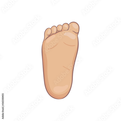 Newborn baby foot sole, bottom view. Tiny plump foot with cute heel and toes. Realistic caucasian skin colours. Vector illustration, hand drawn cartoon style, isolated on white