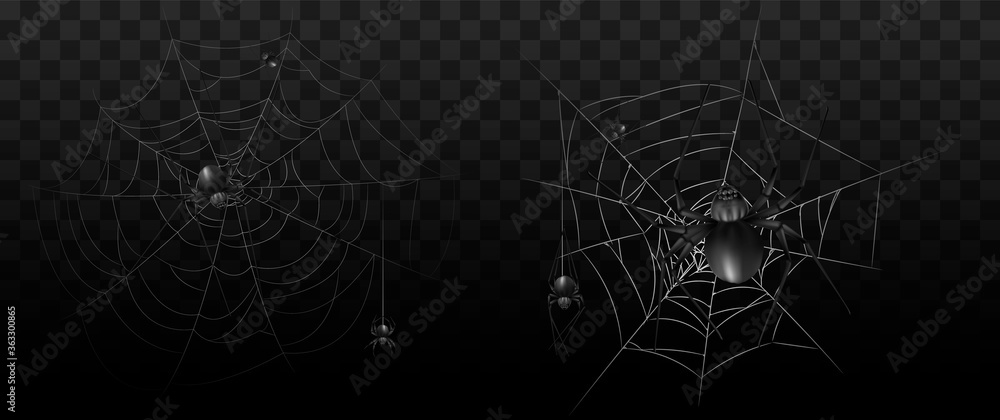 Collection of Spider, cobweb, isolated on black, transparent background. Spiderweb for Halloween design. Spider web elements,spooky, scary, horror halloween decor. Hand drawn silhouette, vector illust