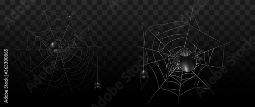 Collection of Spider, cobweb, isolated on black, transparent background. Spiderweb for Halloween design. Spider web elements,spooky, scary, horror halloween decor. Hand drawn silhouette, vector illust