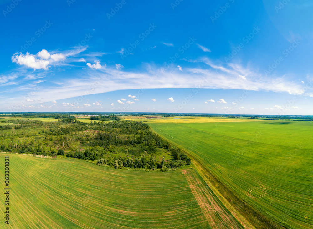 Rural landscape. Aerial view of the countryside. Arable fields and forest with partly cloudy sky