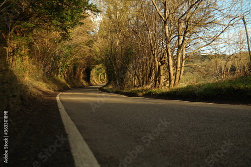 Sunbeamed country road