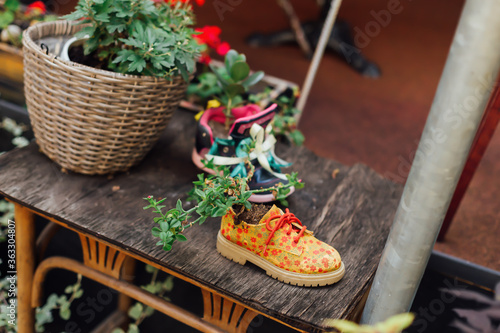 Interesting installation on a table of plants