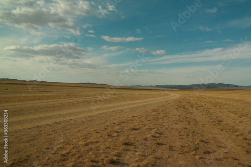 tracks in a landscape (Mongolia)