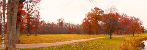 autum in the park