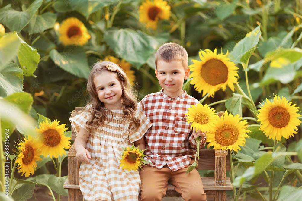 happy little girl and boy have fun among blooming sunflowers under the sunset rays of the sun. Brother and sister are sitting on a bench happy little girl and boy have fun among blooming sunflowers under the sunset rays of the sun. Brother and sister are sitting on a bench