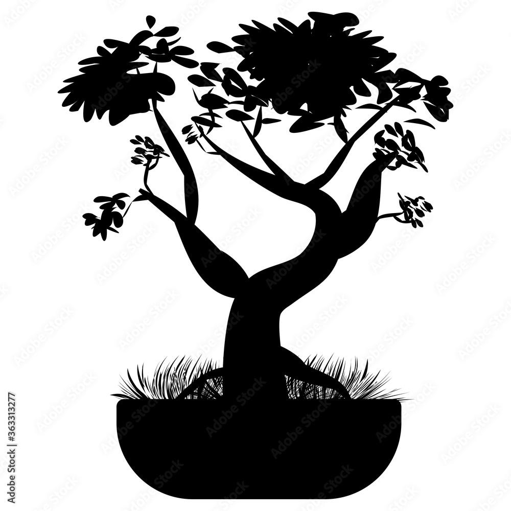 Bonsai tree. Japanese bonsai tree in the pot and with grass around