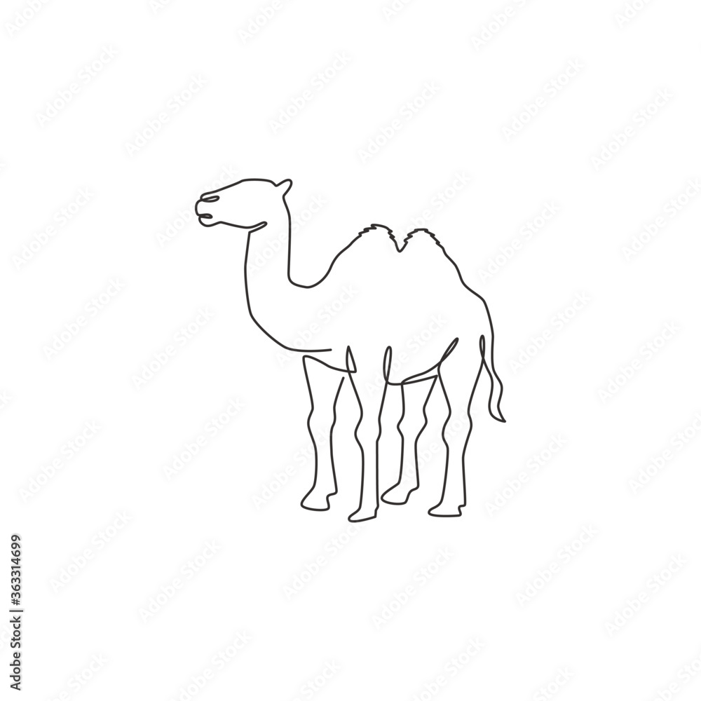 100,000 Camel poses Vector Images | Depositphotos