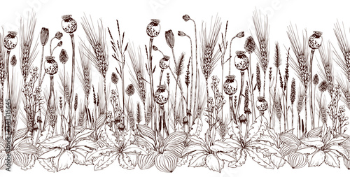 Seamless horizontal banner with wheat spikelets, poppy seed boxes and wild flowers.