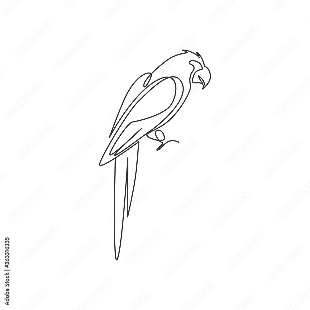 Fototapeta premium Single continuous line drawing of smart funny parrot bird for company logo identity. Flying animal mascot concept for pet lover club icon. Modern one line draw design vector graphic illustration