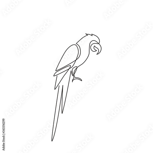 Single continuous line drawing of cute adorable parrot bird with long tail for logo identity. Wing feather animal mascot concept for national zoo icon. One line draw graphic design vector illustration