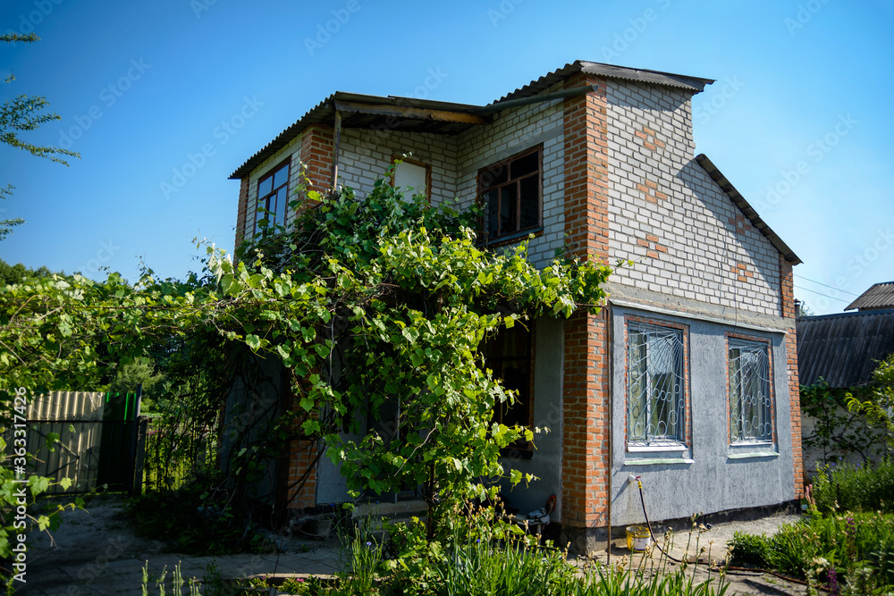 Obraz premium Old country house with a vine in a village, rural area