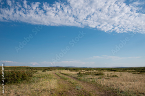 Country road on a vast plain in the summer.