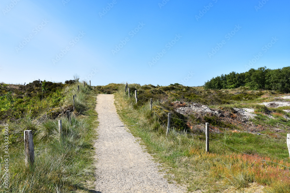 Hiking trail through the dunes towards the sea in St. Peter Ording Dorf