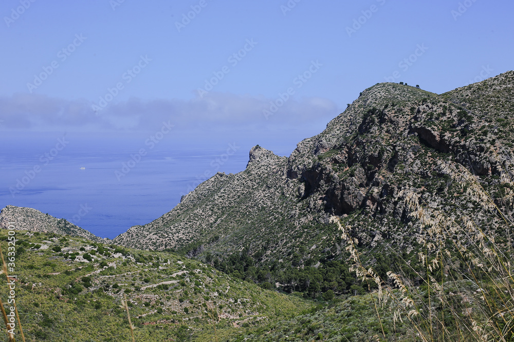 Fototapeta premium rocks in the mountains