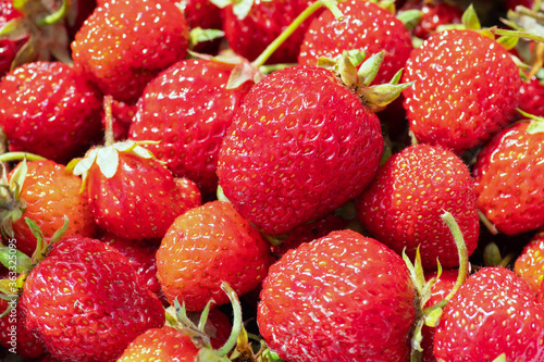 juicy and appetizing strawberries in the sun