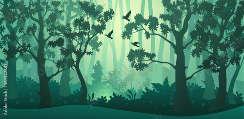 Vector forest background. Trees, bushes and thickets in the form of silhouettes. 