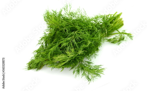 Branch of the dill herb isolated over the white background. Fresh fragrant bunch of dill. Fresh dill close up.