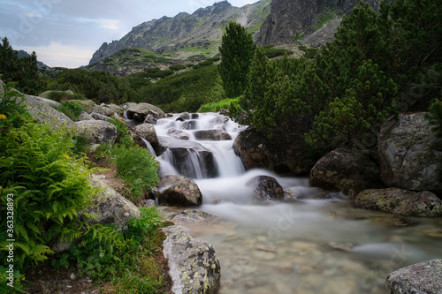 Mlynica river in Mlynicka valley, High Tatras, Slovakia