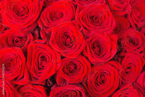 Natural red roses background close up texture