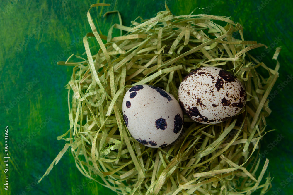 Quail eggs in nest on colored painted background, diet food Quail eggs in nest on colored painted background, diet food