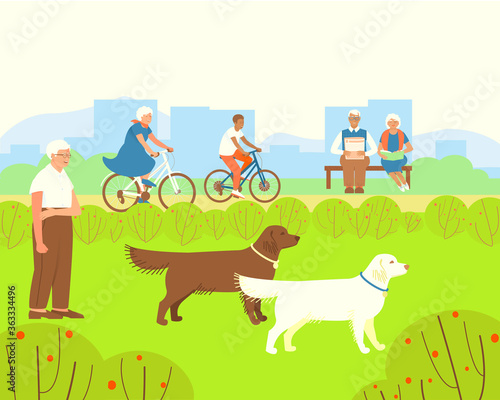 Relax in park for the elderly. Dog handler walks Labradors. A couple reads on a bench. Grandma rides a bicycle with her grandson. Summer time of the year. Flat vector illustration.