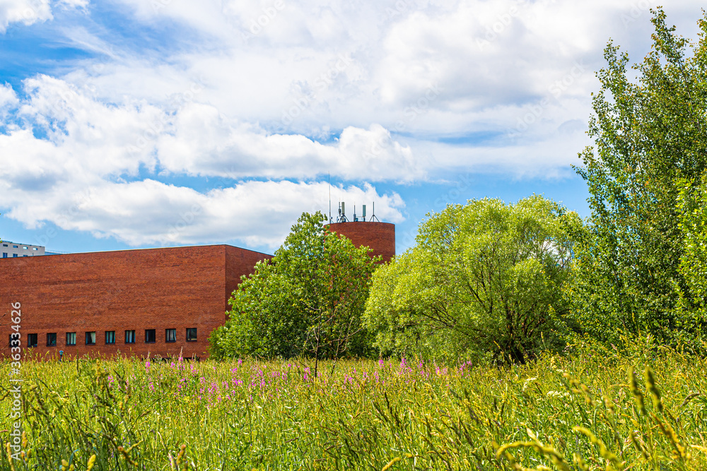 Green meadow with wild flowers, tall trees and Museum of paleontology in Moscow