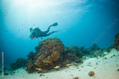 underwater sea scape with diver.