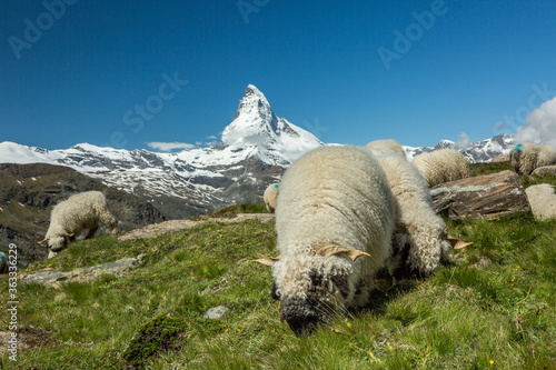 Matterhorn photo