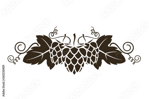 illustration of hop for brewing isolated on white background