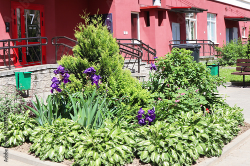 Landscaping design as garden lawn with a flowerbed and ornamental plants in a decorative landscaped pathway as a horticulture symbol for outdoor lifestyle.