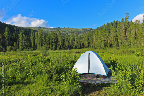 White tent in the summer forest. Camping in the siberian taiga. Hiking in inaccessible Siberia. Nature park Ergaki  Russia  Siberia. Eastern Sayan mountains.