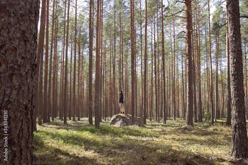 Todays forest © MikkoEemeli
