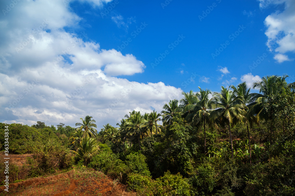 Typical landscape of South Goa