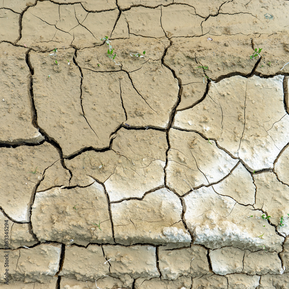 Fototapeta premium cracked clay ground into the dry season