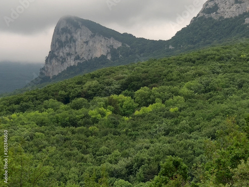 Obraz na płótnie Trees on a mountainside on the Crimean peninsula