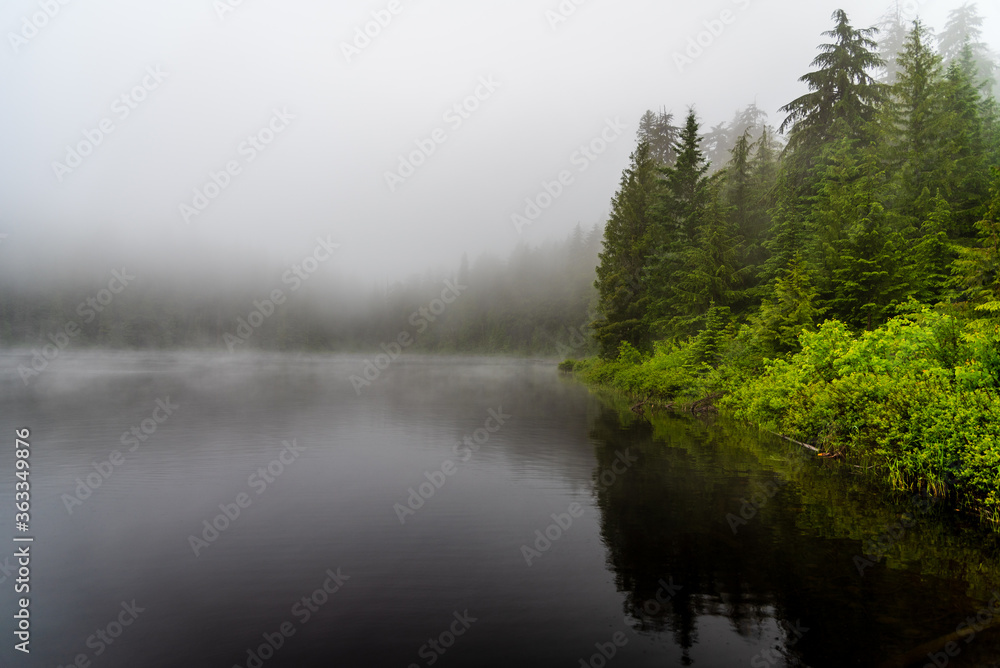 South Skookum Lake In The Mist