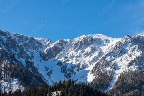snow mountain with trees and blue sky
