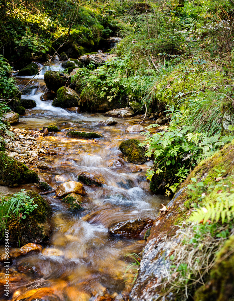 small stream in the forest in late summer surrounded by colorful green grass long time exposure small stream in the forest in late summer surrounded by colorful green grass long time exposure