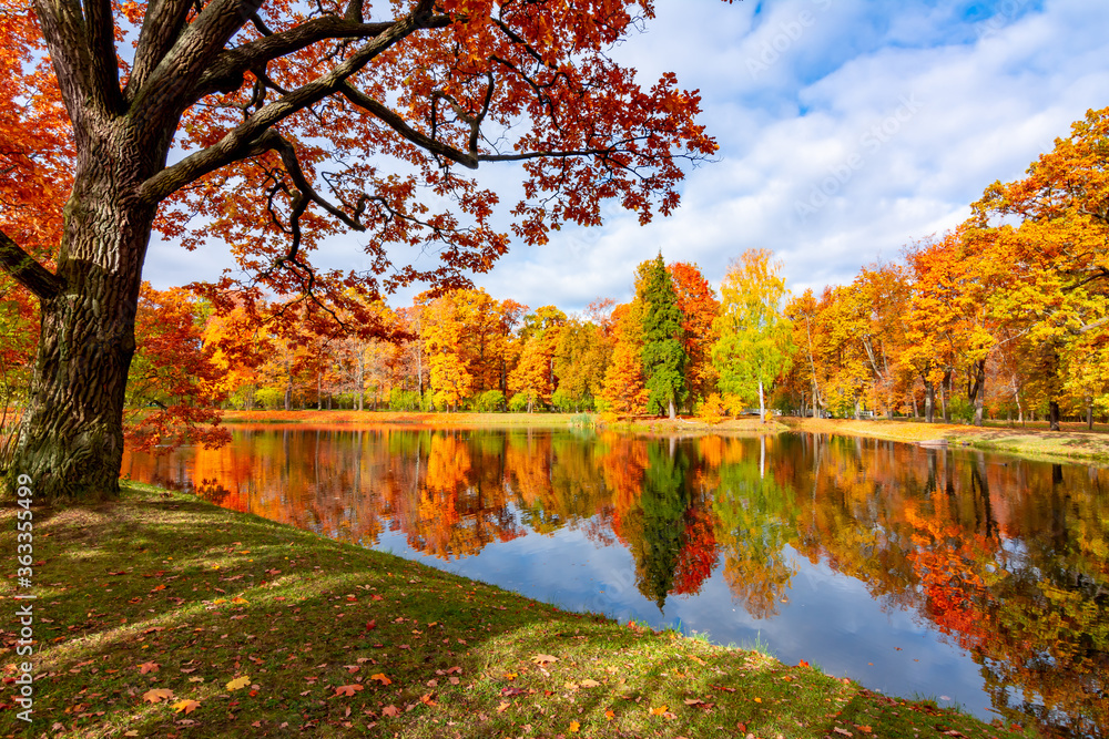 Autumn foliage in Alexander park, Pushkin (Tsarskoe Selo), Saint Petersburg, Russia