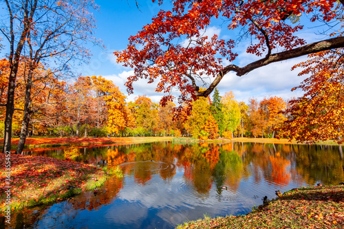 Alexander park in fall, Pushkin (Tsarskoe Selo), Saint Petersburg, Russia