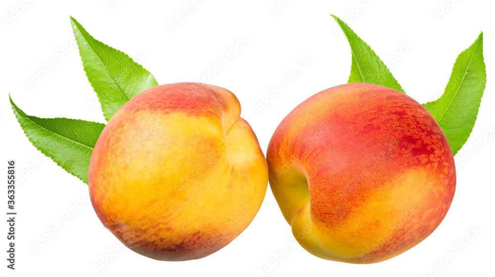 peach fruit with green leaf isolated on white background peach fruit with green leaf isolated on white background