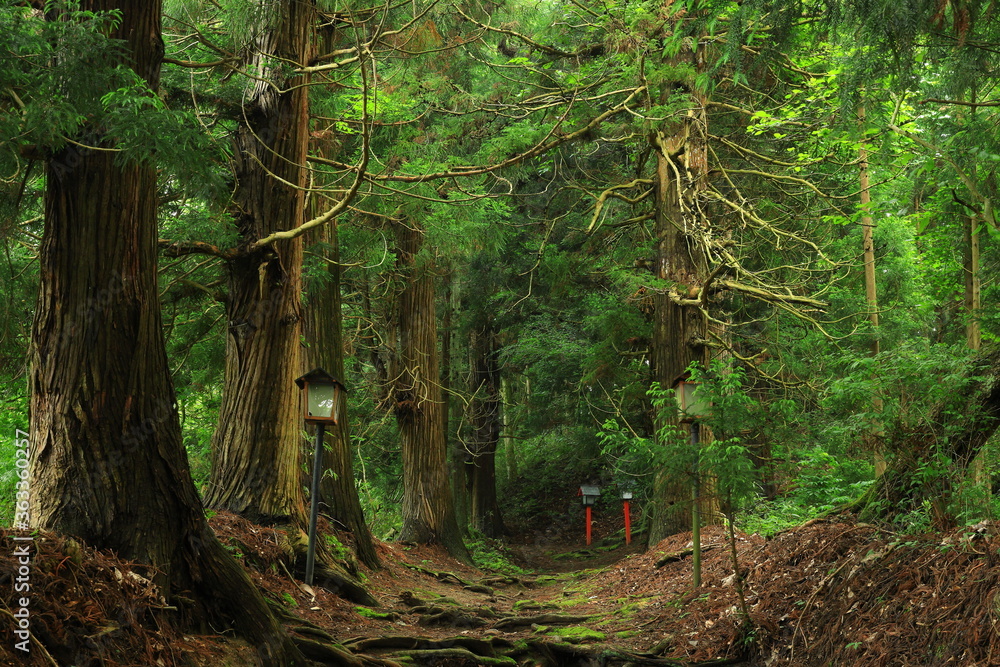 Fototapeta premium 岩手県遠野市 愛宕神社