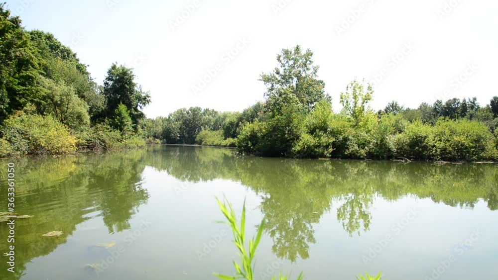 View of a pond in a city park in Milan, Italy, called “Bosco in Città” View of a pond in a city park in Milan, Italy, called “Bosco in Città”