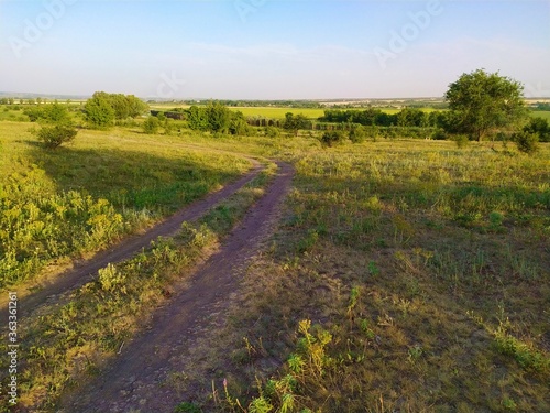 Fototapeta Naklejka Na Ścianę i Meble -  Winding road in the field in summer