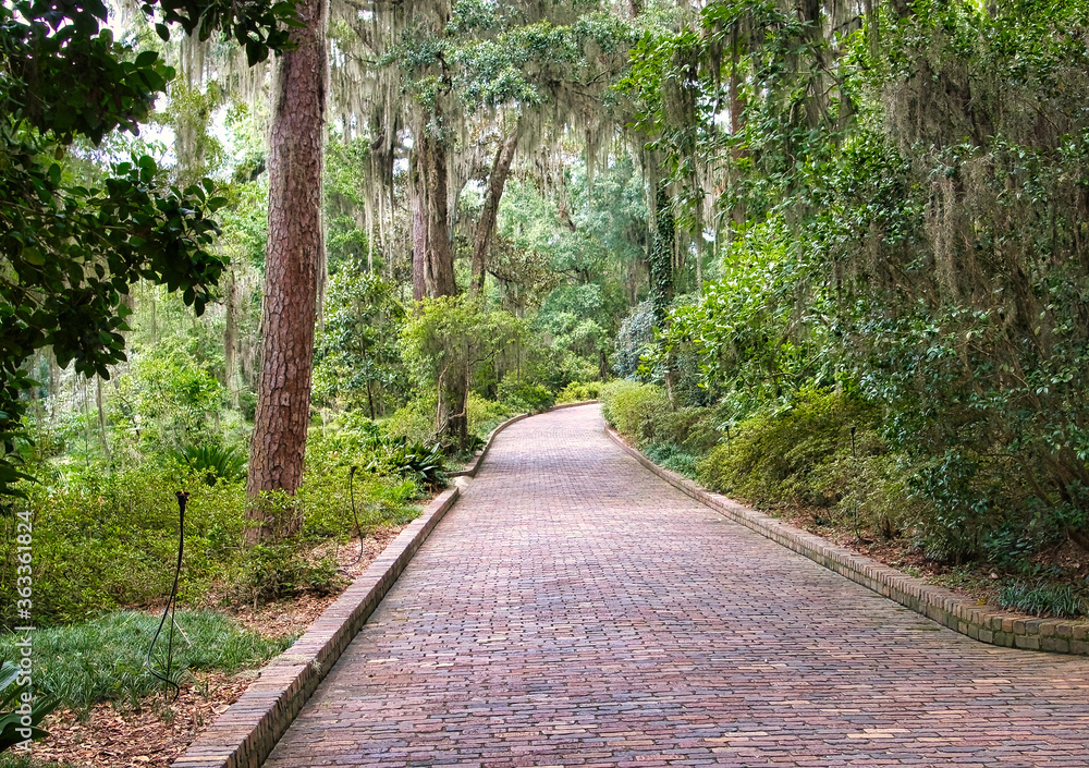 Beautiful and relaxing scene in a natural park Beautiful and relaxing scene in a natural park