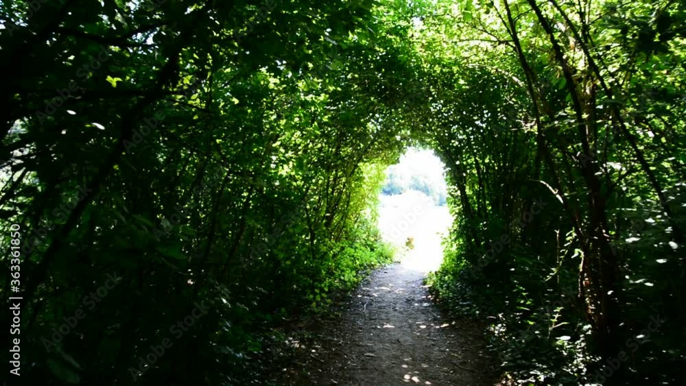 Blinding sunlight at the exit of a dark tunnel made of plants in an urban park located in Milan Blinding sunlight at the exit of a dark tunnel made of plants in an urban park located in Milan